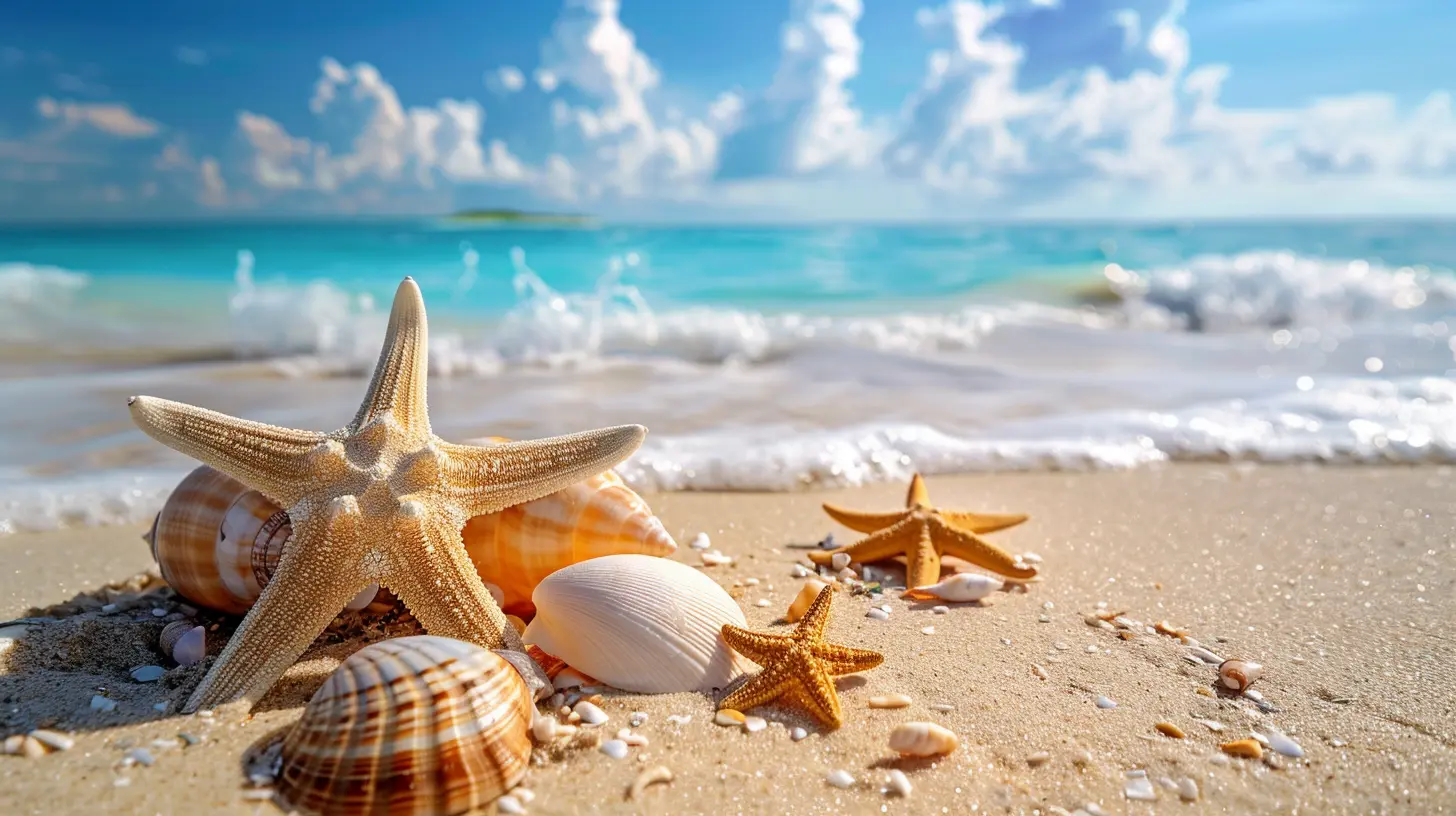 A Guide to Beachcombing and Seashell Hunting