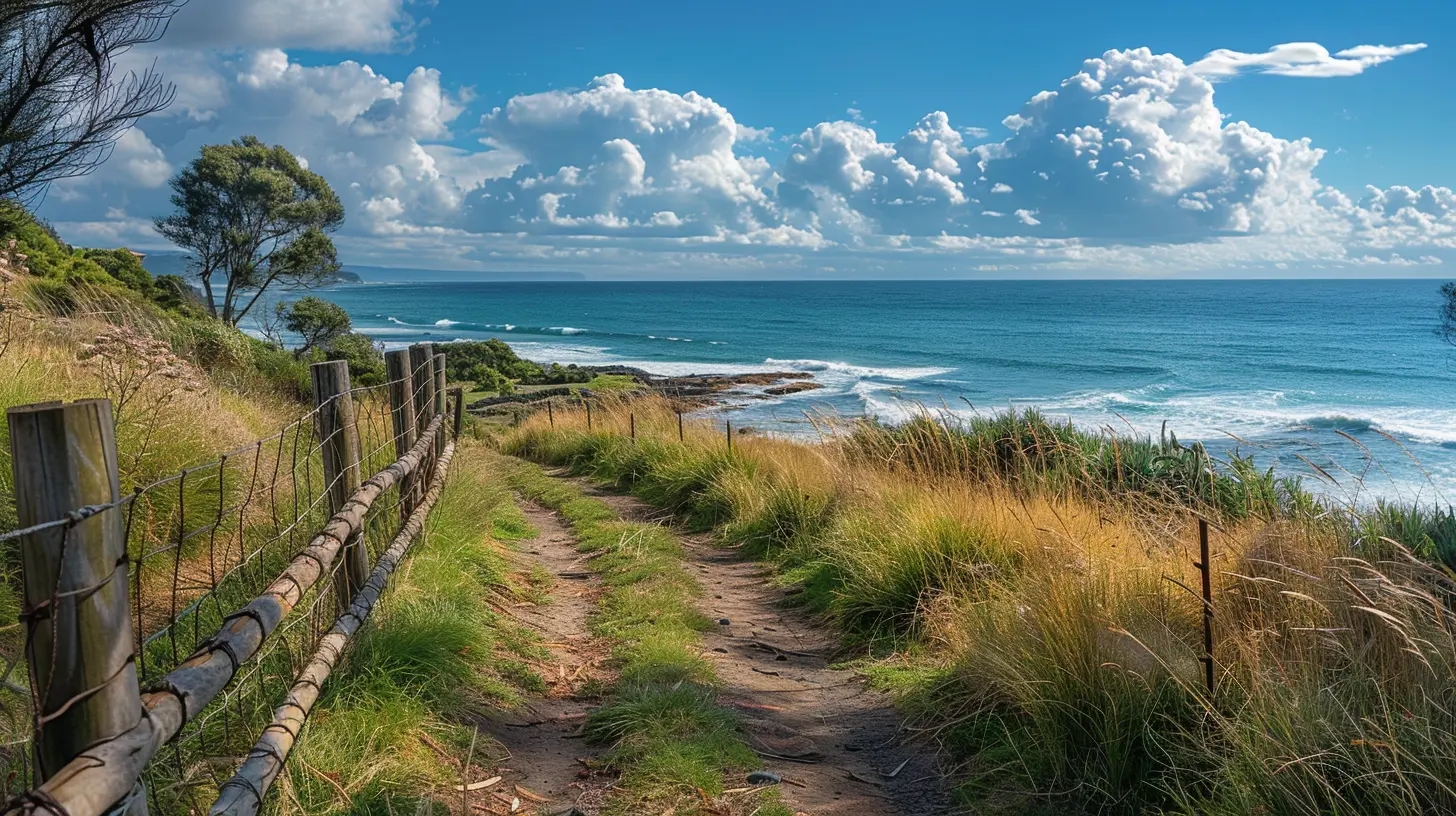 Along the Coastline: Pristine Coastal Paths for a Peaceful Stroll