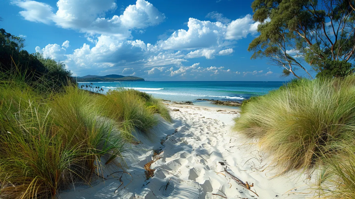 Along the Coastline: Pristine Coastal Paths for a Peaceful Stroll