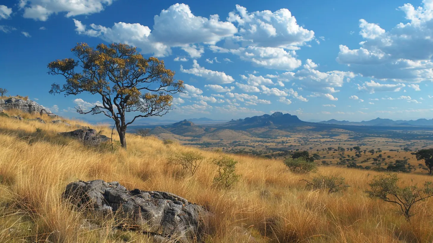 Beyond the Horizon: Vast Grasslands and Open Plains to Explore
