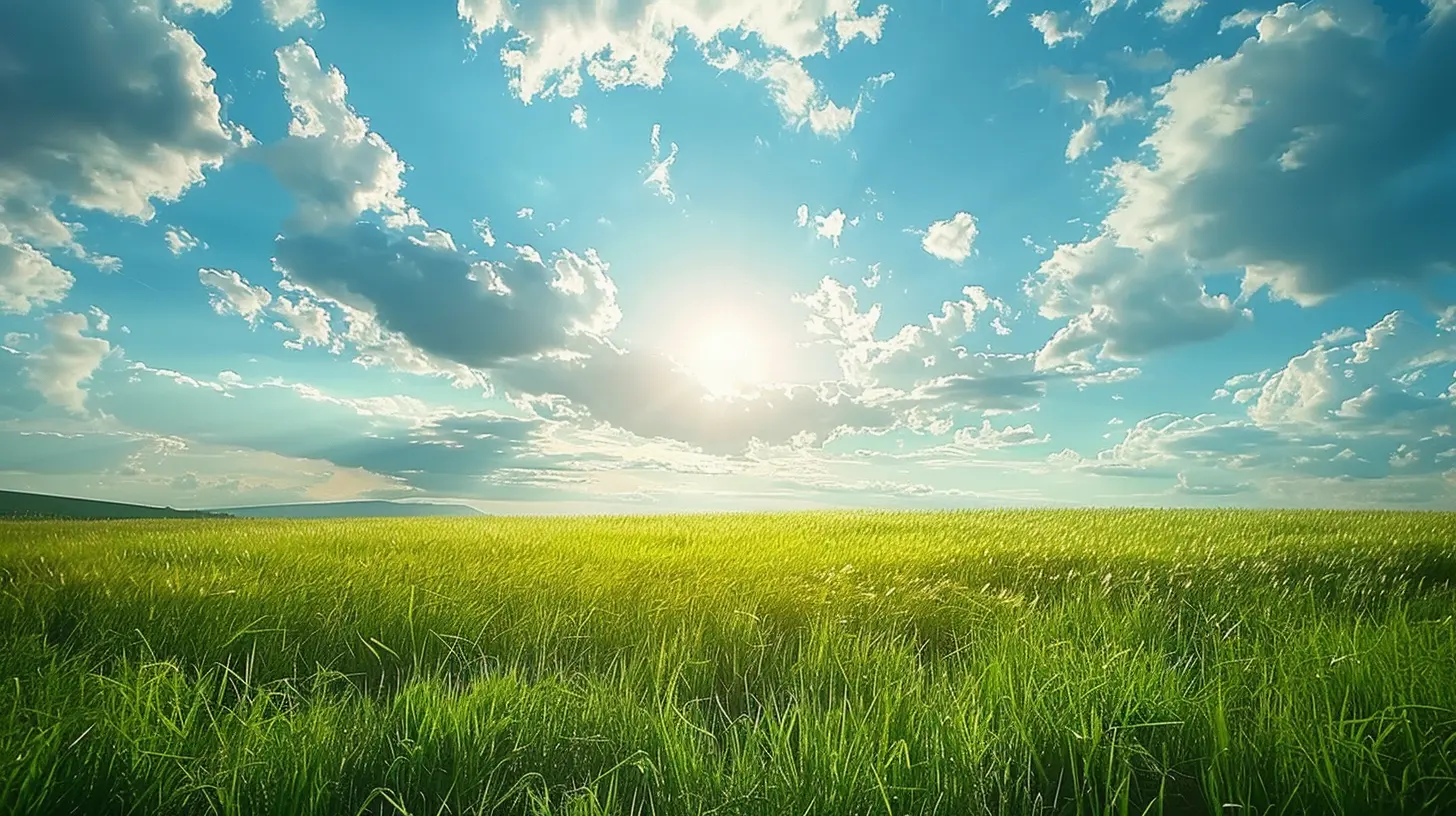 Beyond the Horizon: Vast Grasslands and Open Plains to Explore