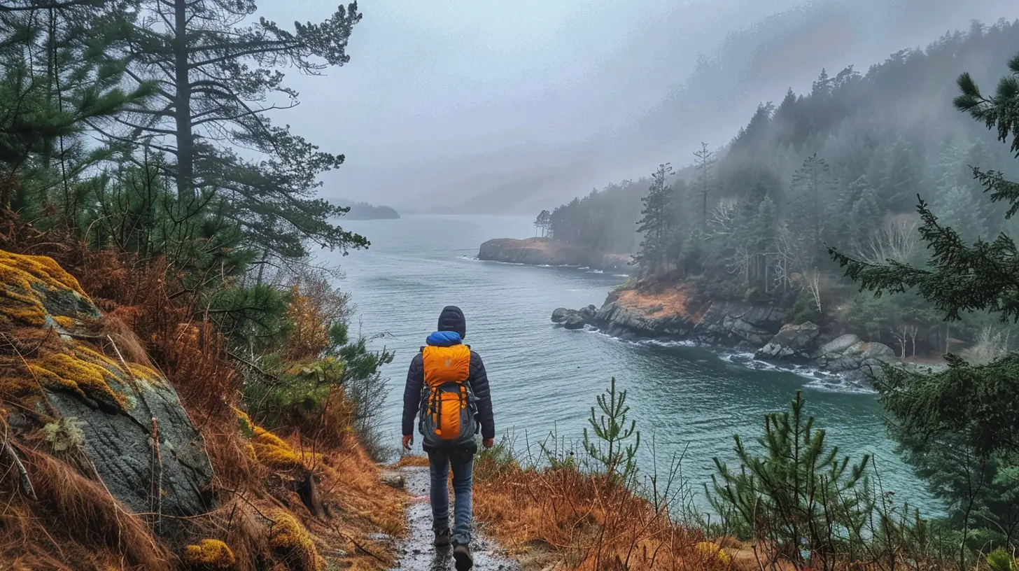 From Forested Trails to Ocean Views: The Best Hikes Near Campsites