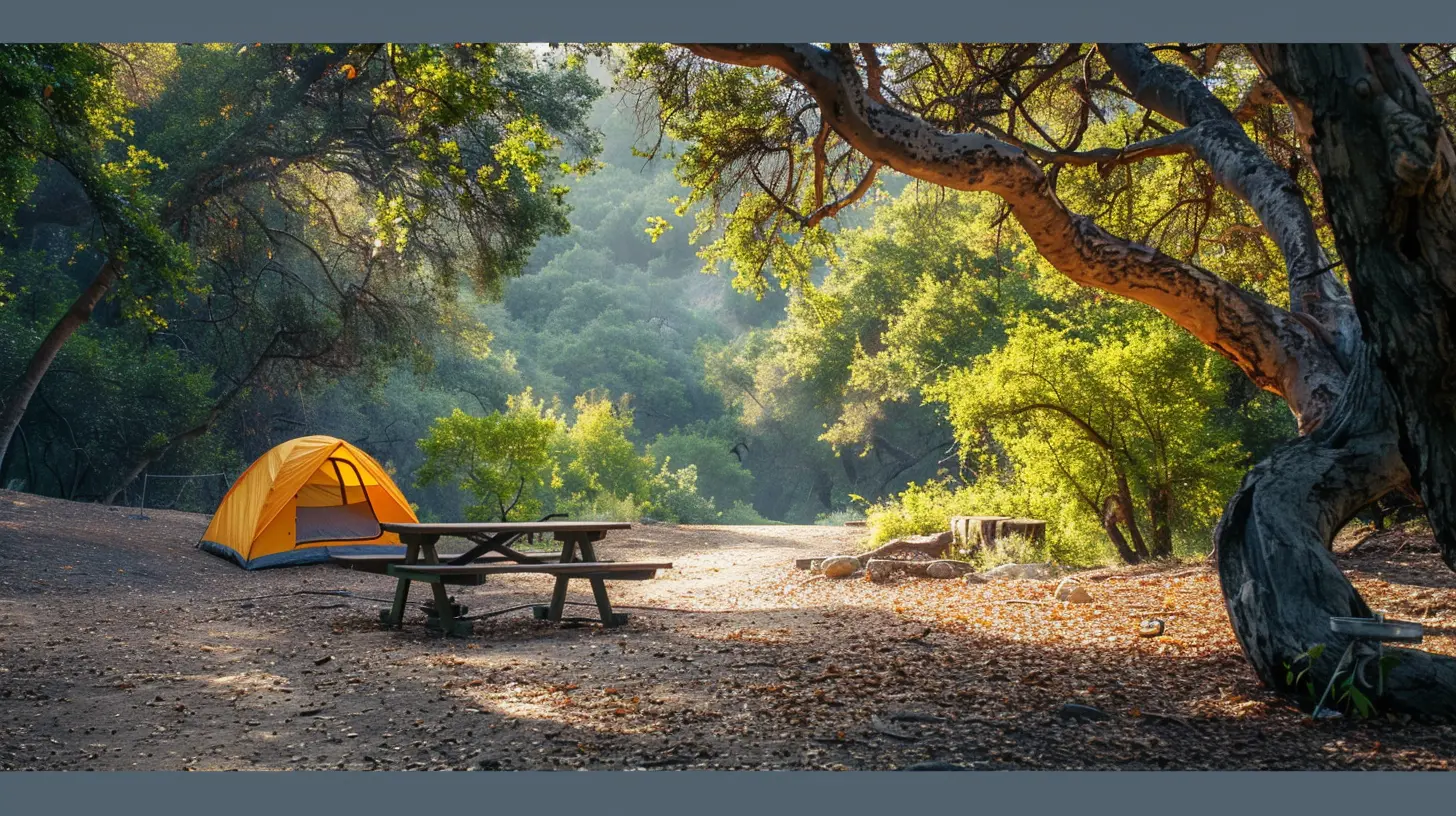 The Best Campground Amenities That Make Roughing It a Breeze