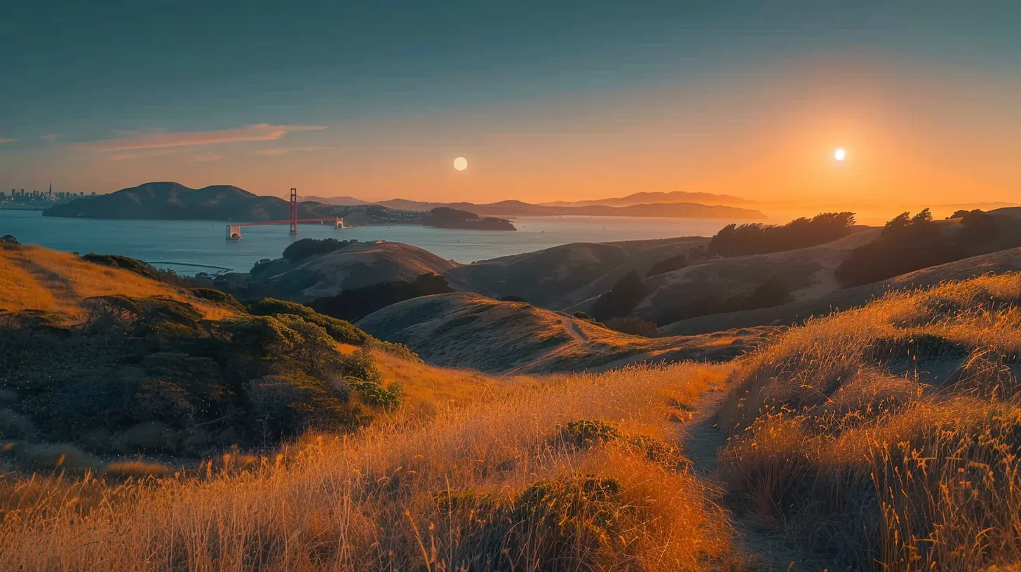 The Best Experiences and Attractions in San Francisco