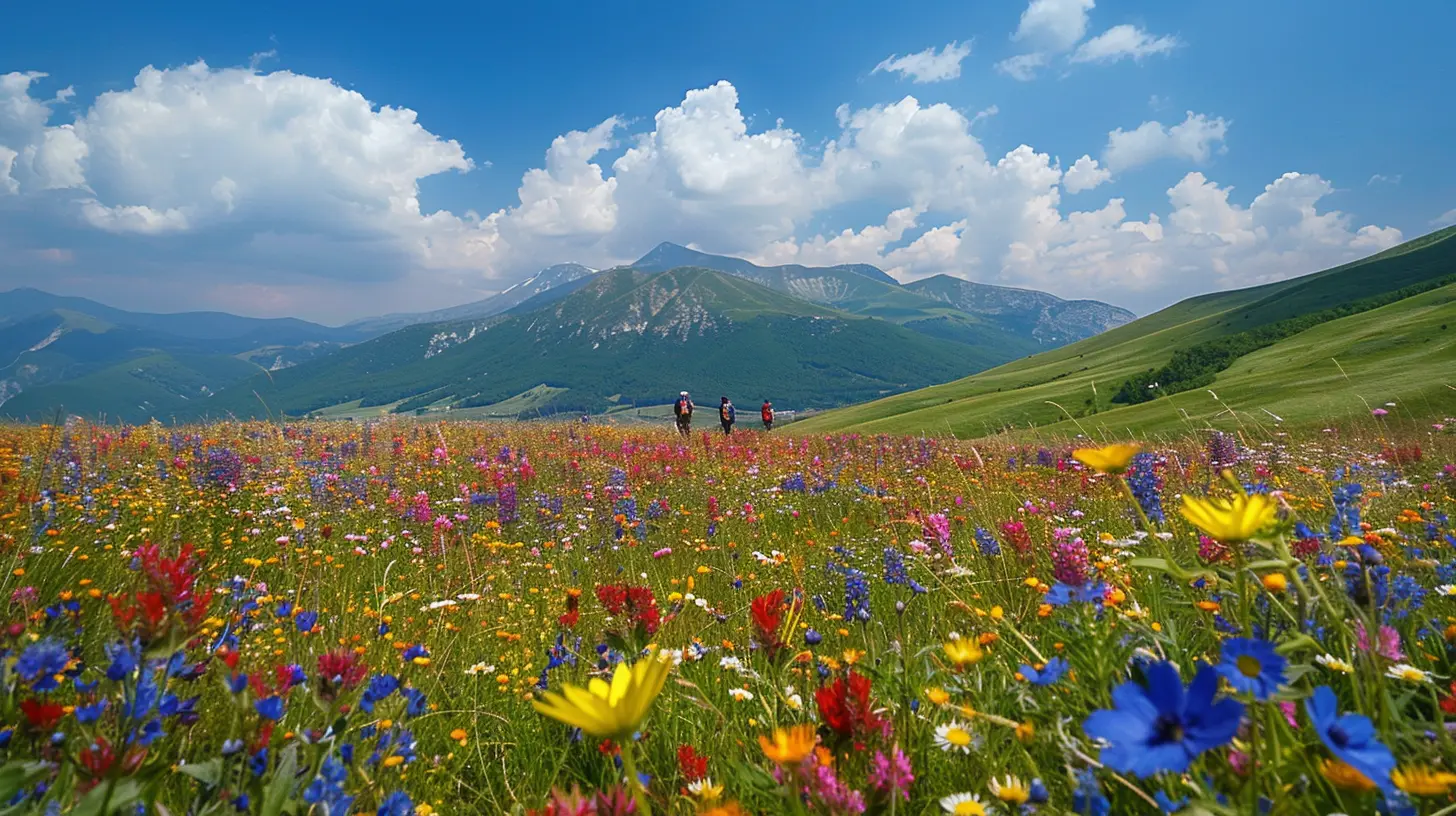 Wildflower Meadows and Rolling Hills for the Perfect Hike