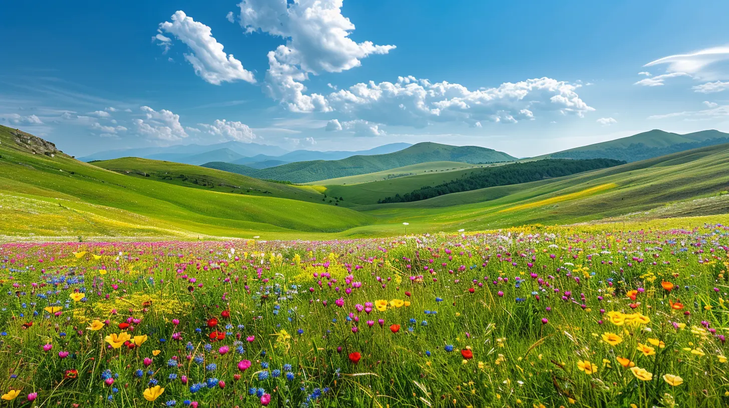 Wildflower Meadows and Rolling Hills for the Perfect Hike