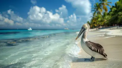 Amazing Wildlife Encounters On The Worlds Most Pristine Beaches