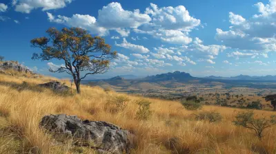 Beyond The Horizon Vast Grasslands And Open Plains To Explore