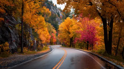 Chasing Fall Foliage Around the Globe in 2026