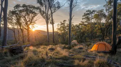 Off the Beaten Path: Remote Campsites Worth the Journey
