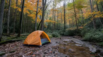 Solo Camping: Why It's the Best Way to Reconnect with Nature
