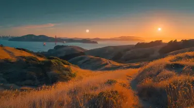 The Best Experiences and Attractions in San Francisco