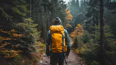 Walk Among Giants Explore Old Growth Forests For A Quiet Retreat