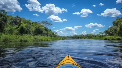 Wild River Adventures: The Best Kayaking Experiences