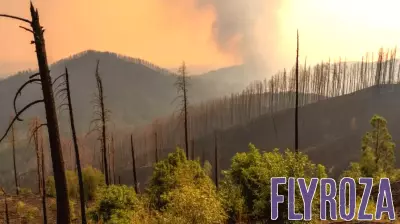 Wildfires in Patagonia Force Evacuation of Tourists, Disrupting Local Tourism